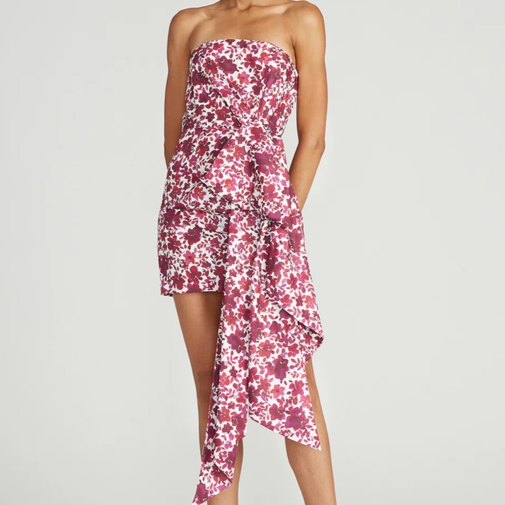 NWOT AMUR Leith ‘Barberry Watercolor Botanical’ Strapless Mini Dress-Bow Detail